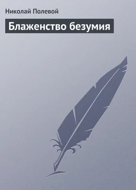 Николай Полевой Блаженство безумия обложка книги