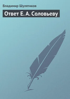 Владимир Шулятиков Ответ Е. А. Соловьеву обложка книги