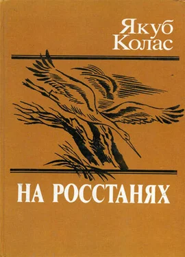 Якуб Колас На росстанях обложка книги