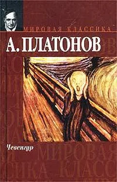 Андрей Платонов Чевенгур обложка книги