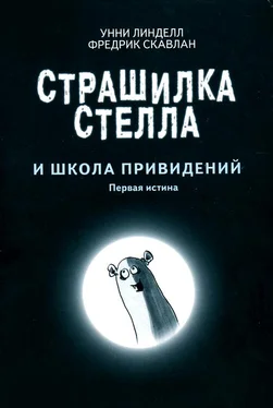 Унни Линделл Страшилка Стелла и школа привидений обложка книги