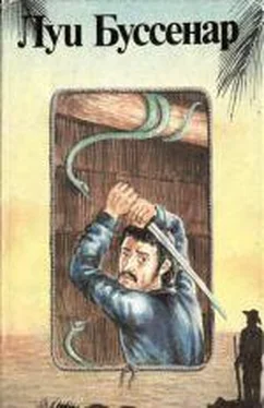 Луи Буссенар Гвианские робинзоны обложка книги