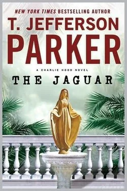 T. Parker The Jaguar обложка книги