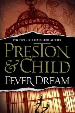 Douglas Child Fever Dream обложка книги