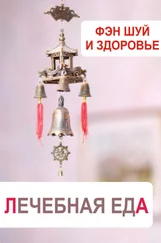 Илья Мельников - Фэн-шуй и здоровье. Лечебная еда