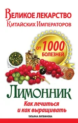 Татьяна Литвинова - Великое лекарство китайских императоров от 1000 болезней. Лимонник - как лечиться и как выращивать