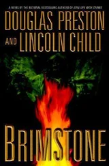 Douglas Preston - Brimstone