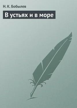 Н. Бобылев В устьях и в море обложка книги