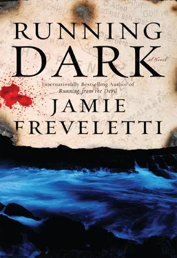 Jamie Freveletti Running Dark обложка книги