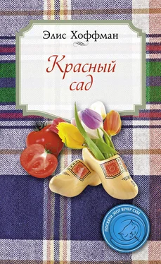 Элис Хоффман Красный сад обложка книги