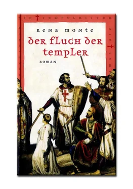 Rena Monte Der Fluch der Templer обложка книги