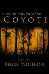 Regan Wolfrom - After The Fires Went Out - Coyote