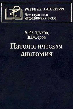 Анатолий Струков Патологическая анатомия обложка книги