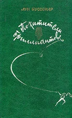 Луи Буссенар - Похитители бриллиантов