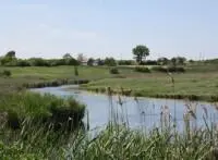 Давайте плавати разом Як багато у нас місця вигукував Кряк Случ - фото 8