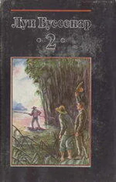 Луи Буссенар Охотники за каучуком обложка книги