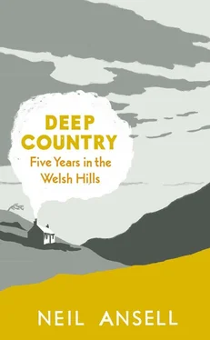 Neil Ansell Deep Country обложка книги