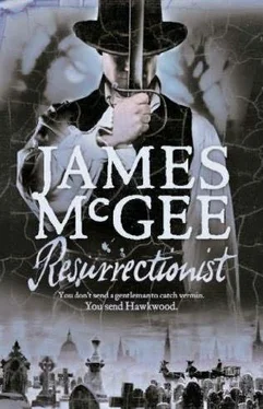James McGee Resurrectionist