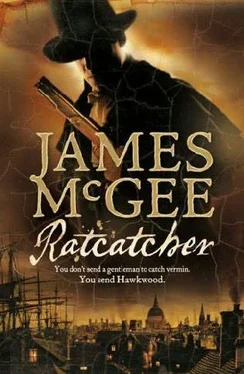 James McGee Ratcatcher обложка книги