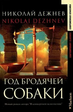 Николай Дежнев Год бродячей собаки обложка книги