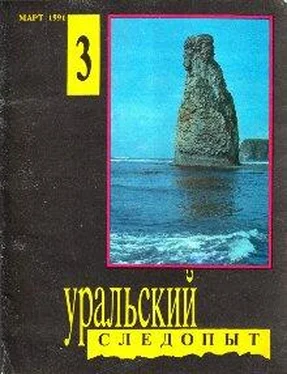 Александр Етоев Поучительный случай обложка книги