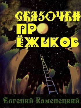 Евгений Каменецкий Сказочки про ёжиков обложка книги