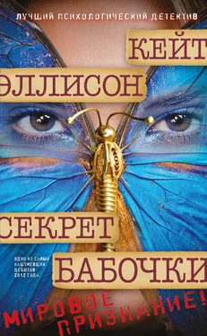 Кейт Эллисон Секрет бабочки обложка книги