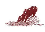 Целая серия подобных историй имела место на Камчатке в широко известной Долине - фото 230