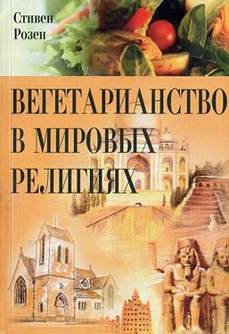 Стивен Роузен Вегетарианство в мировых религиях обложка книги