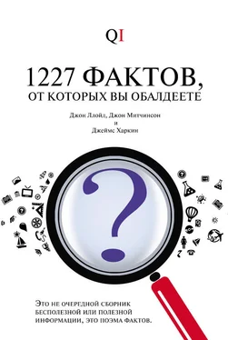 Джон Митчинсон 1227 фактов, от которых вы обалдеете