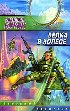 Анатолий Бурак Белка в колесе обложка книги