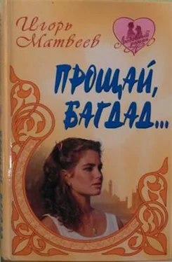 Игорь Матвеев Прощай Багдад обложка книги