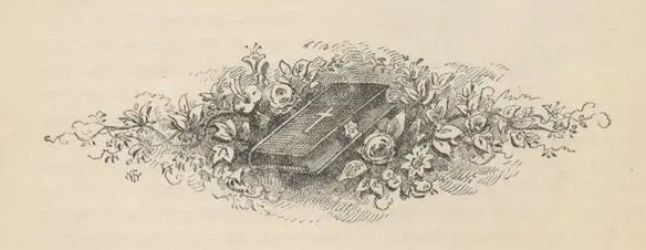 CHAPTER V A Useful MinisterIn ChurchThe Climax ABOUT halfpast ten the - фото 26