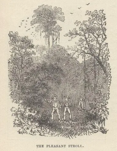 They found plenty of things to be delighted with but nothing to be astonished - фото 69