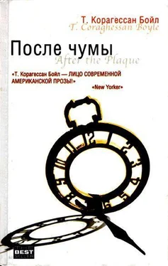 Т. Корагессан Бойл Моя вдова обложка книги