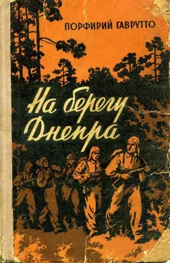 Порфирий Гаврутто На берегу Днепра обложка книги