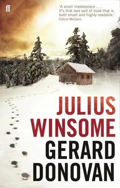 Gerard Donovan Julius Winsome обложка книги