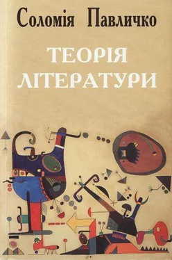 Соломія Павличко Теорія літератури обложка книги