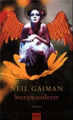 Neil Gaiman - Sternwanderer