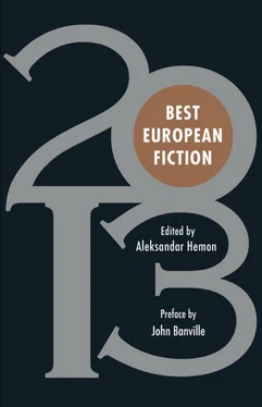 Aleksandar Hemon Best European Fiction 2013 обложка книги