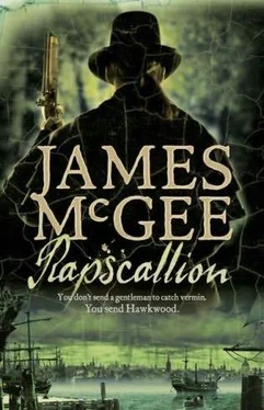 James McGee Rapscallion обложка книги