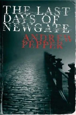 Andrew Pepper The Last Days of Newgate обложка книги