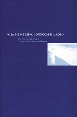 Л. Зайонц На меже меж Голосом и Эхом. Сборник статей в честь Татьяны Владимировны Цивьян обложка книги