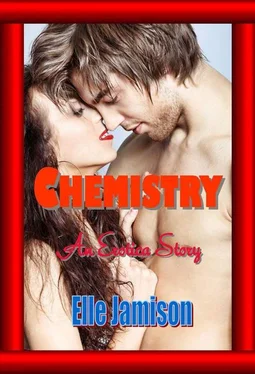 Elle Jamison Chemistry обложка книги