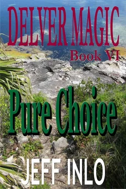 Jeff Inlo Pure Choice обложка книги