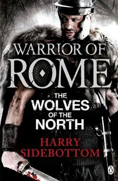 Harry Sidebottom The Wolves of the North обложка книги