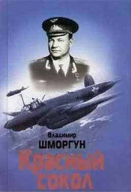 Владимир Шморгун Красный сокол обложка книги