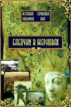 Ирина Астахова Бабочки в жерновах обложка книги