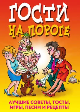 Юлия Николаева Гости на пороге. Лучшие советы, тосты, игры, песни и рецепты обложка книги