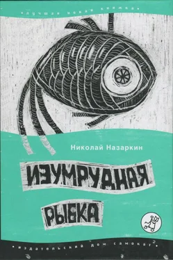 Николай Назаркин Изумрудная рыбка: палатные рассказы обложка книги